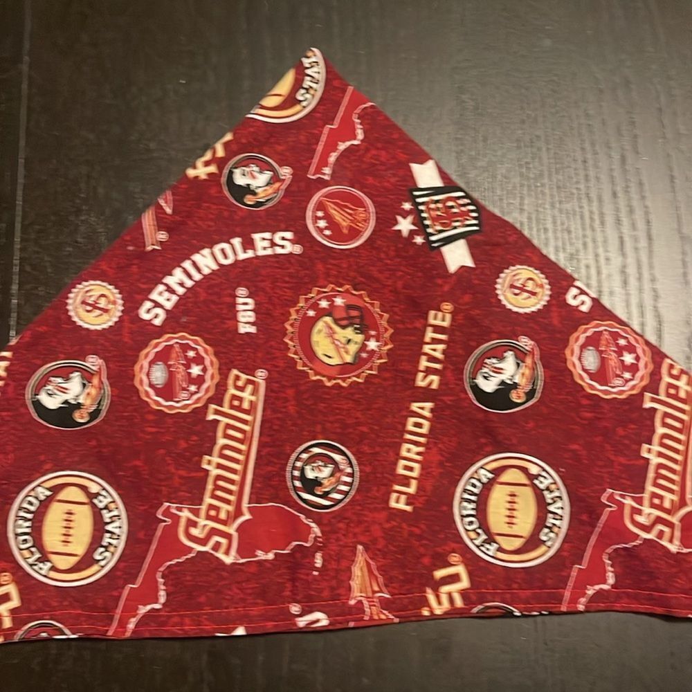 Florida State Seminoles bundle - Picture 10 of 11